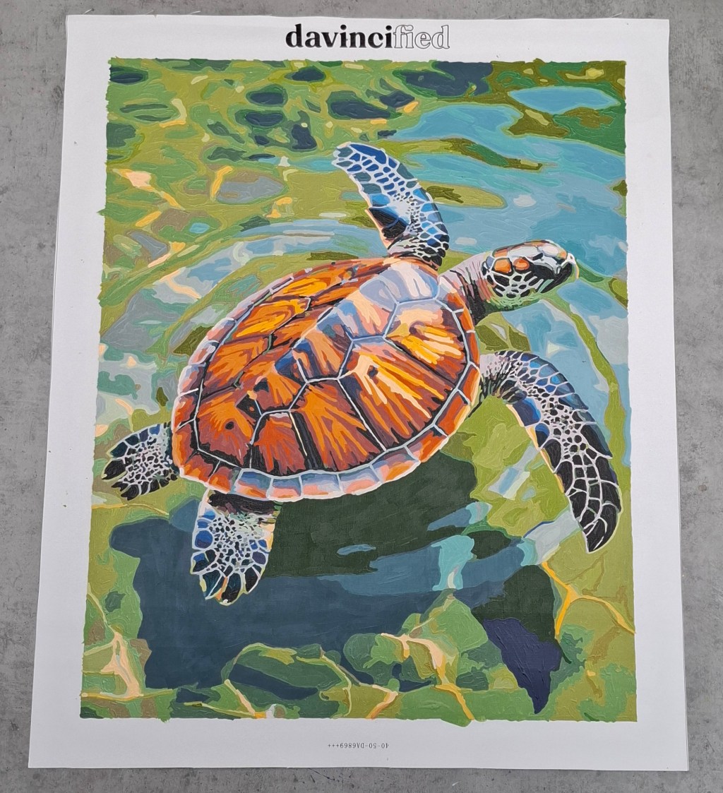 Schildpad in kristalhelder water